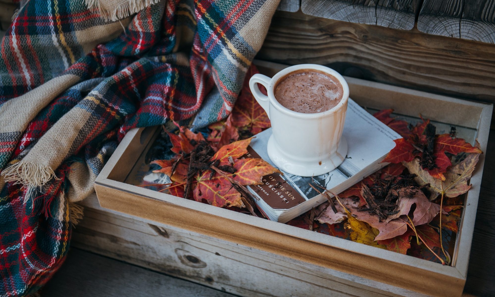 Hot chocolate on a book with a blanket on a bench